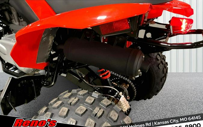 2026 Can-Am DS 250