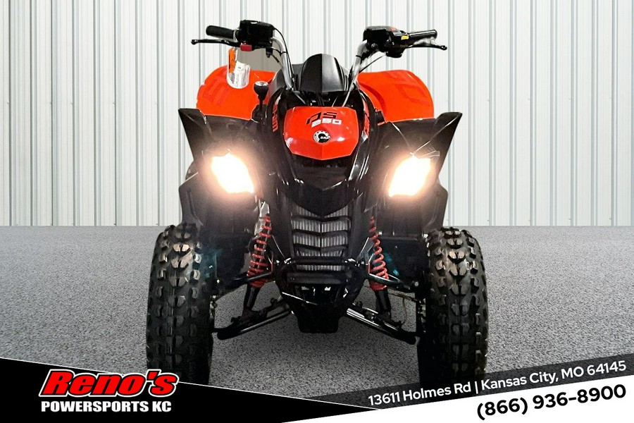 2026 Can-Am DS 250