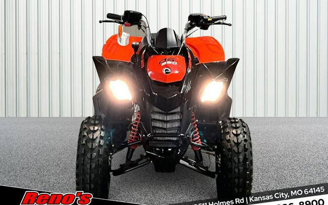2026 Can-Am DS 250