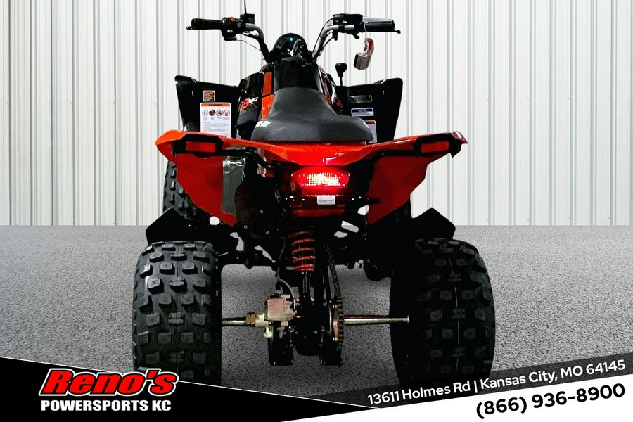 2026 Can-Am DS 250
