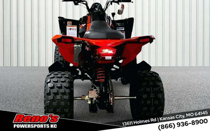 2026 Can-Am DS 250