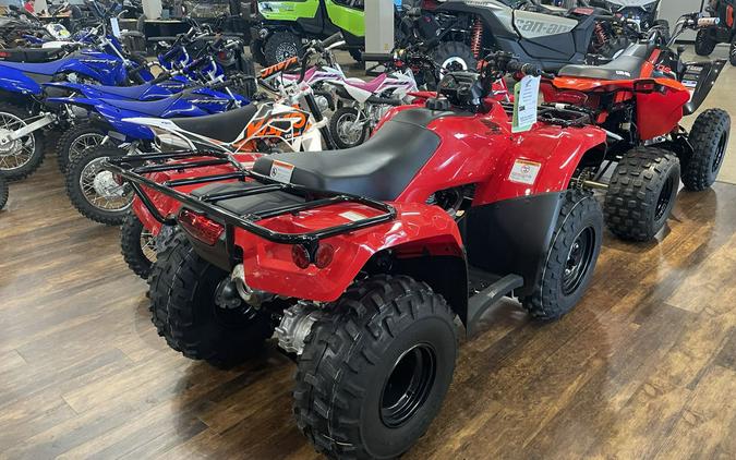 2024 Honda® Fourtrax Recon