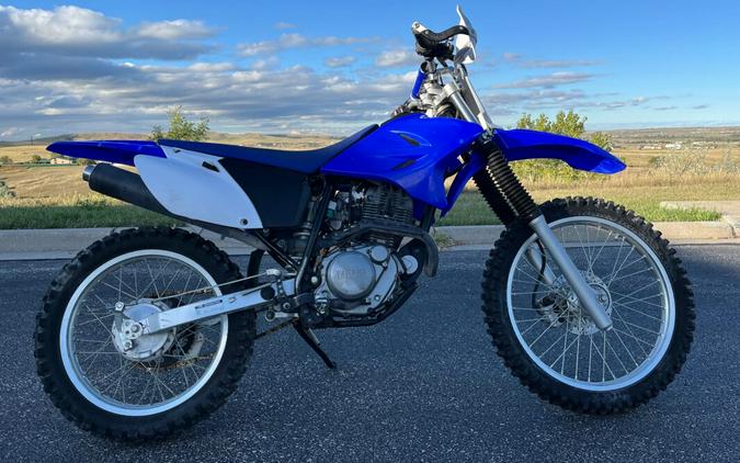 2008 Yamaha TT-R230