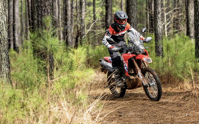 2025 Honda CRF300L Rally ABS