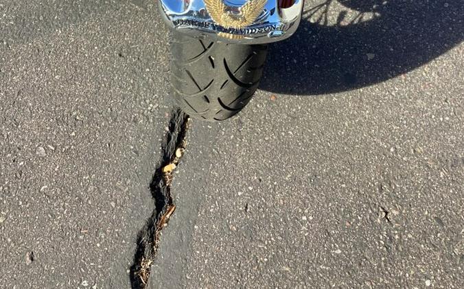 FLSTN 2009 Softail® Deluxe