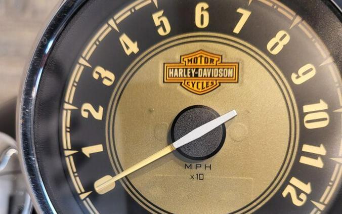 2016 Harley-Davidson® Heritage Softail® Classic Black FLSTC