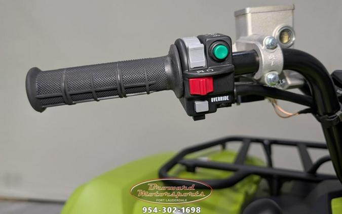 2026 Yamaha Grizzly EPS