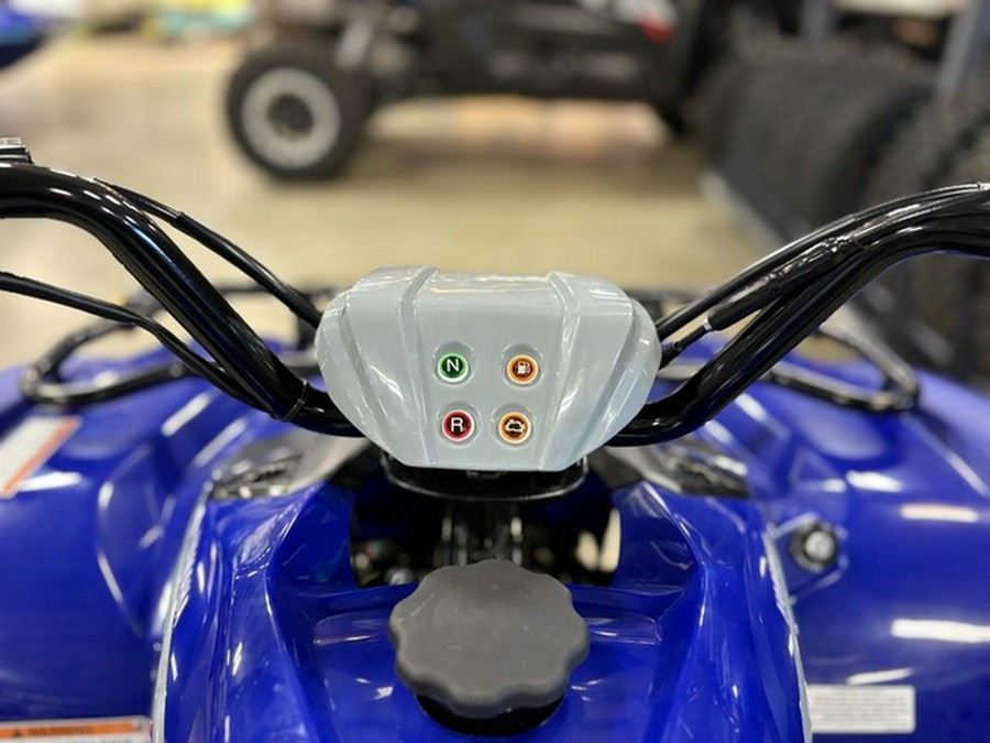 2026 Yamaha Grizzly 110
