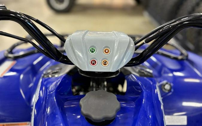 2026 Yamaha Grizzly 110