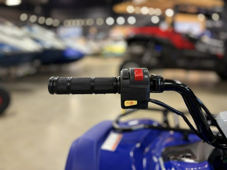 2026 Yamaha Grizzly 110