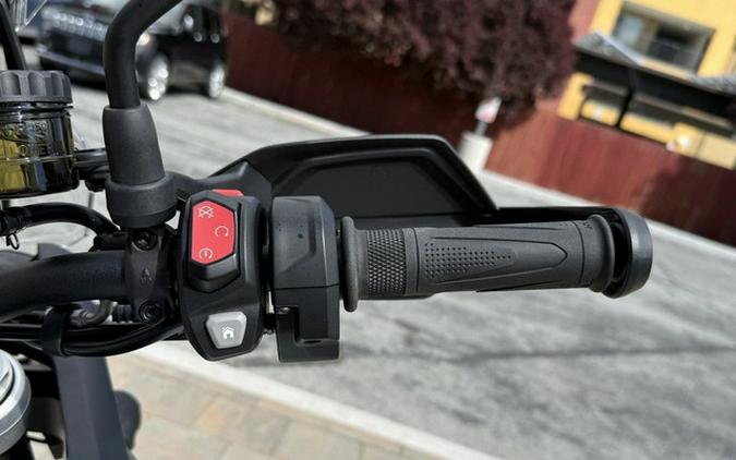 2026 Triumph Tiger 900 Alpine Edition