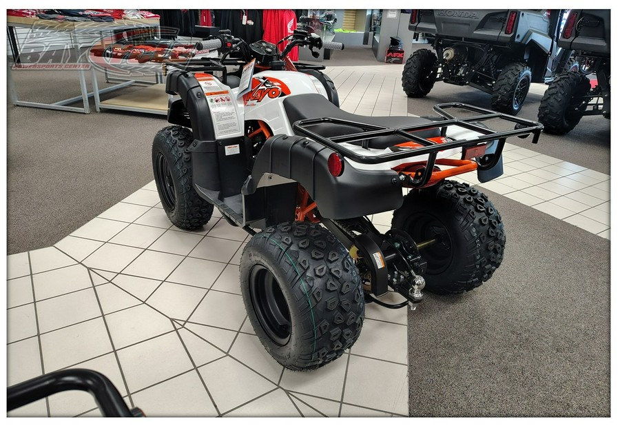 2026 Kayo Bull 150 EFI