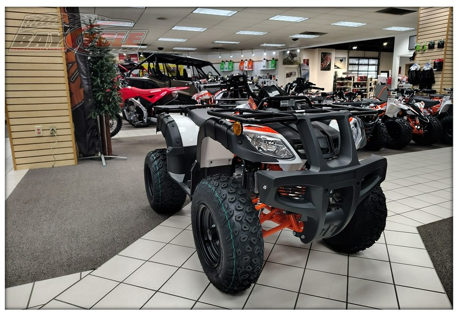 2026 Kayo Bull 150 EFI