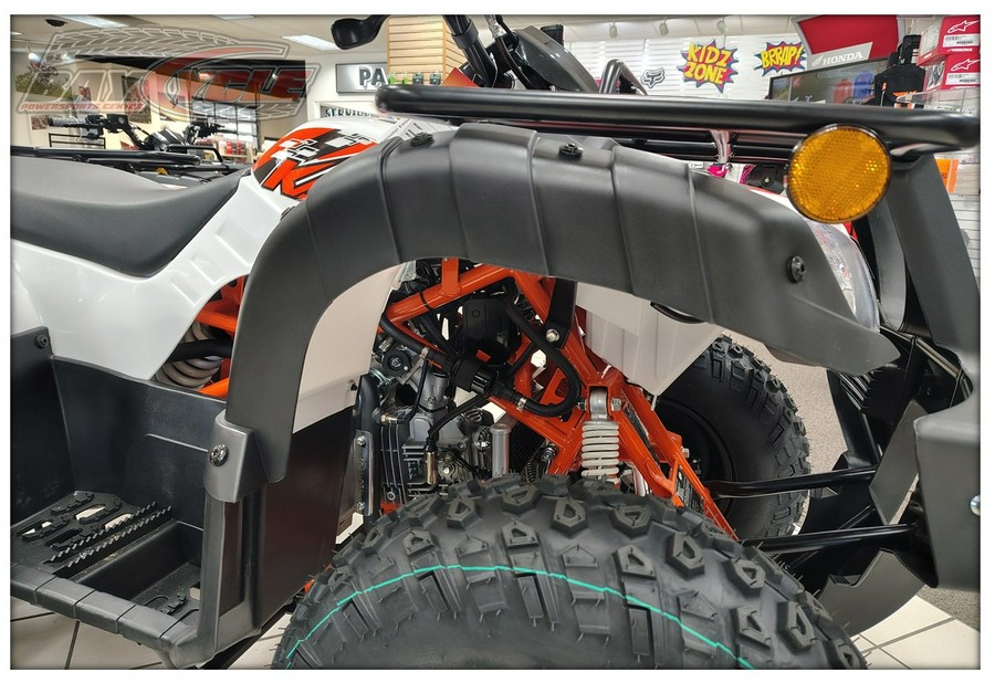 2026 Kayo Bull 150 EFI