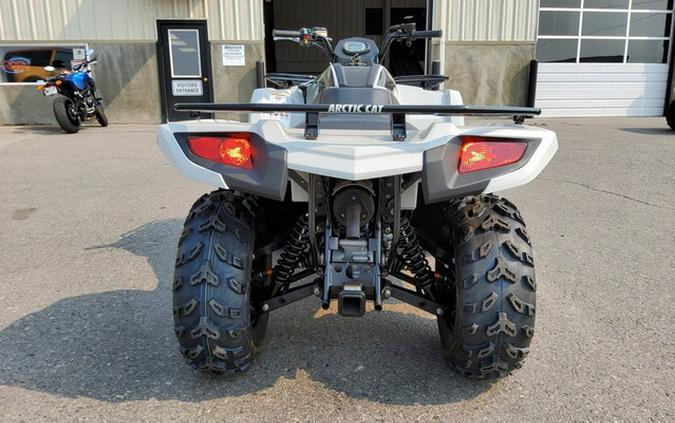 2023 Arctic Cat Alterra 450