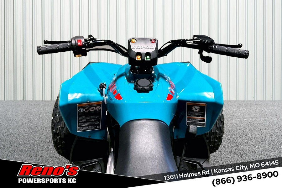 2026 Can-Am Renegade 110 EFI