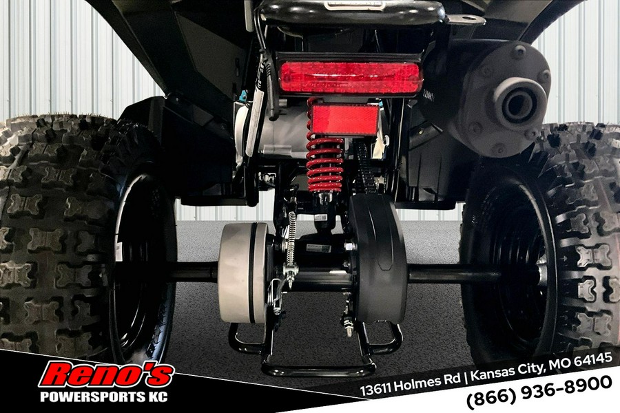 2026 Can-Am Renegade 110 EFI