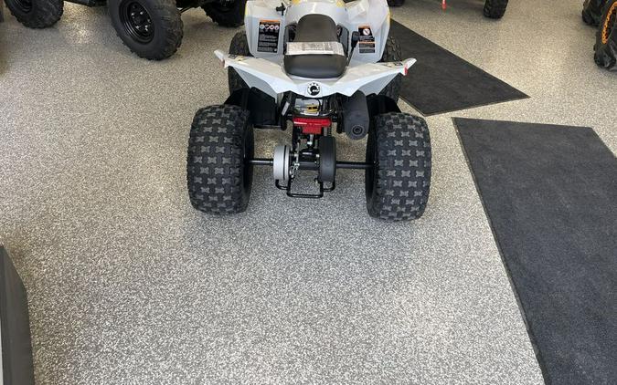 2026 Can-Am RENEGADE 110 CATALYST GRAY