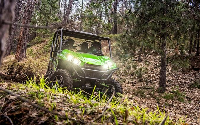 2018 Kawasaki Teryx4 LE