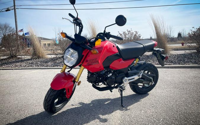 2026 Honda Grom