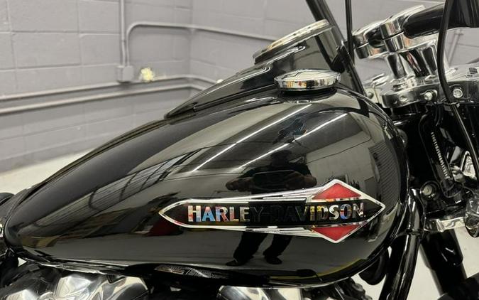 2019 Harley-Davidson® FLSL - Softail® Softail Slim®