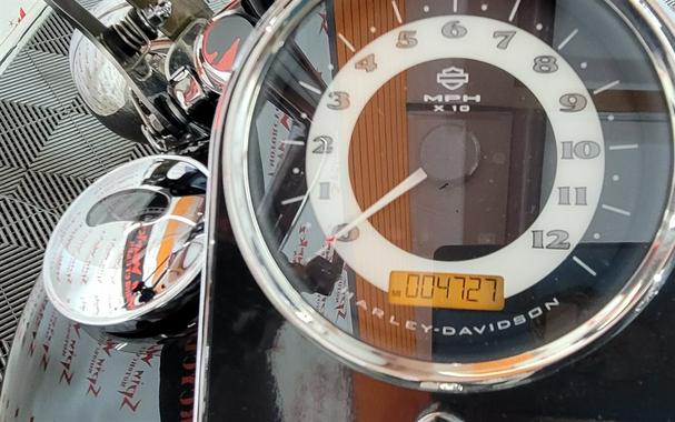 2017 Harley Davidson Deluxe Flstn