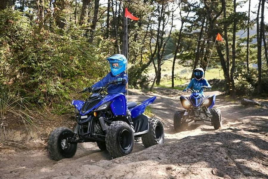 2025 Yamaha Raptor 110 (YFM01RYXSL)
