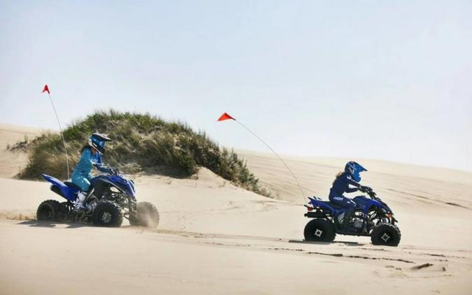 2025 Yamaha Raptor 110 (YFM01RYXSL)