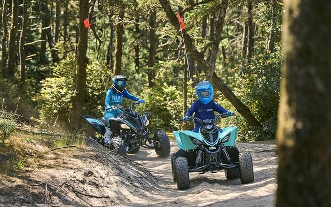 2025 Yamaha Raptor 110 (YFM01RYXSL)