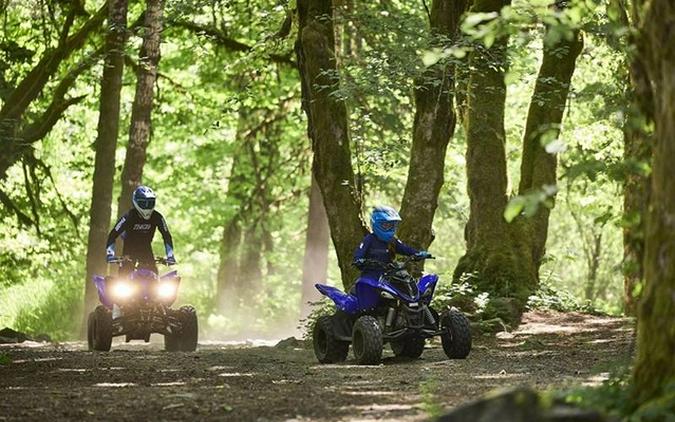 2025 Yamaha Raptor 110 (YFM01RYXSL)