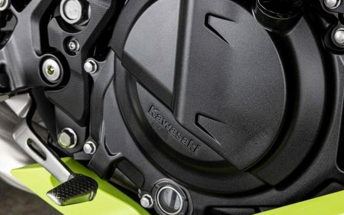 2026 Kawasaki Ninja 500 SE ABS