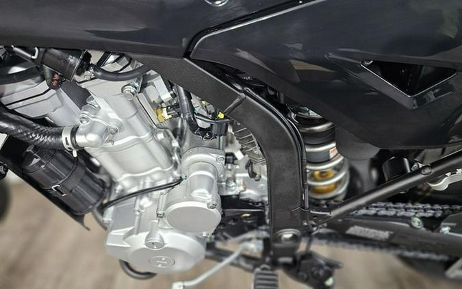 2026 Kawasaki KLX 300SM