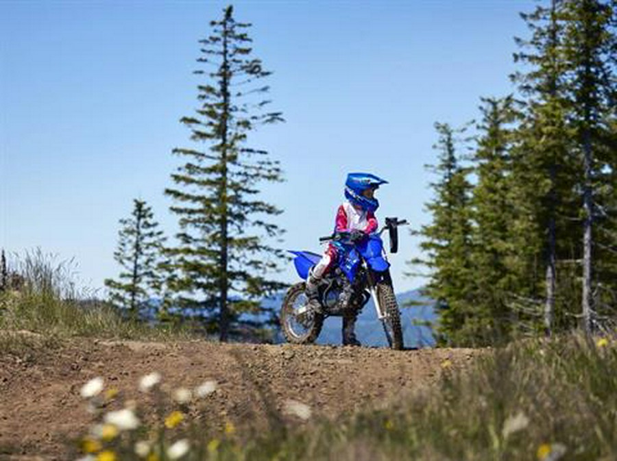 2026 Yamaha TT-R125LE