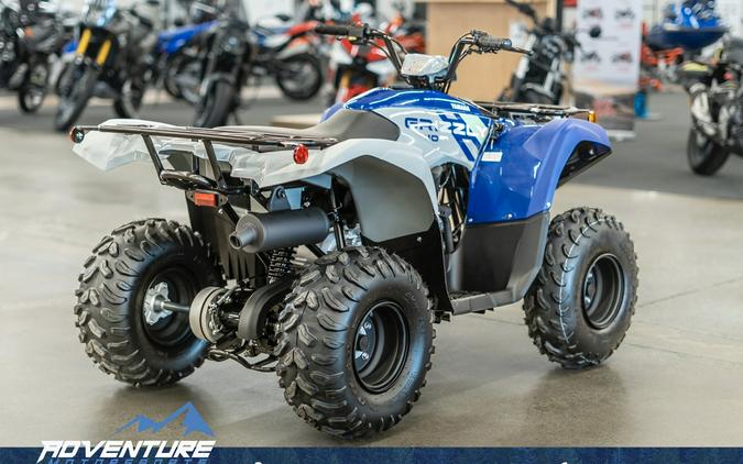 2026 Yamaha YFM01GYXTS