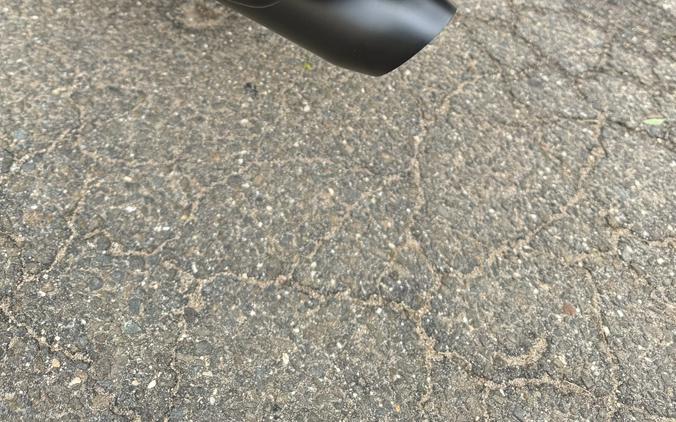 2025 Indian Roadmaster® PowerPlus Dark Horse®