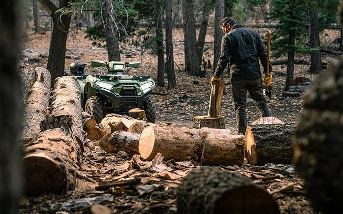2025 Kawasaki Brute Force® 750 LE EPS