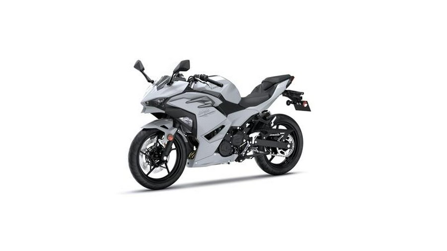 2024 Kawasaki Ninja® 500 ABS