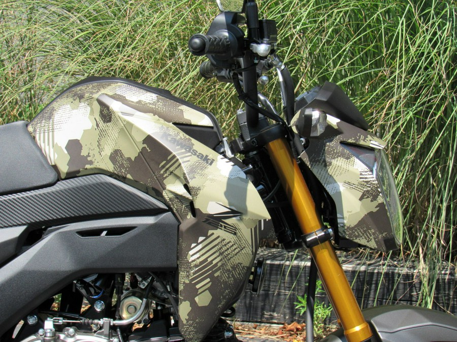 2025 Kawasaki Z125 Pro