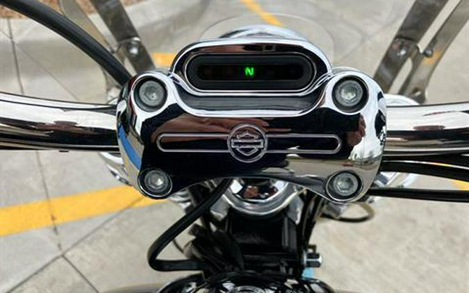 2009 Harley-Davidson Dyna® Low Rider®