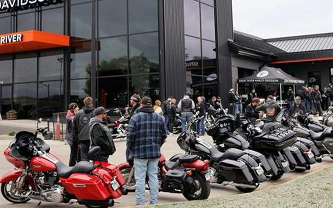 2009 Harley-Davidson Dyna® Low Rider®