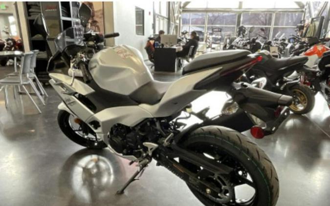 2025 Kawasaki Ninja 500