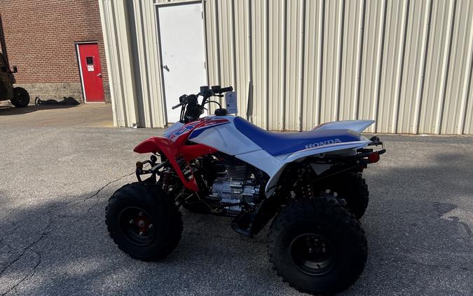 2026 Honda TRX 250X