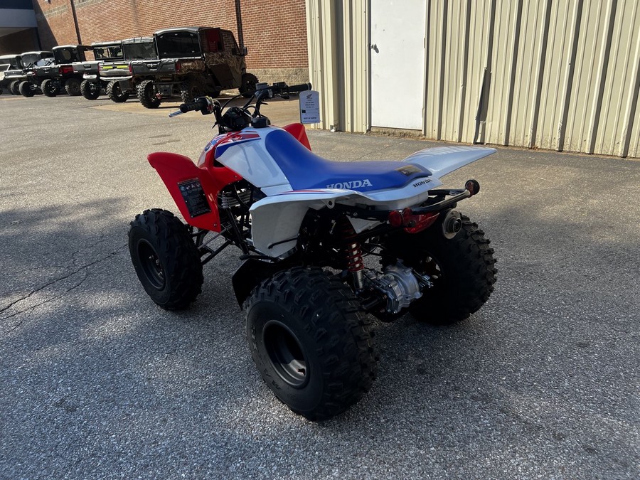 2026 Honda TRX 250X