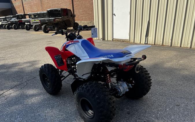 2026 Honda TRX 250X