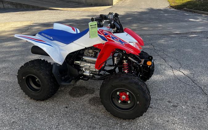 2026 Honda TRX 250X