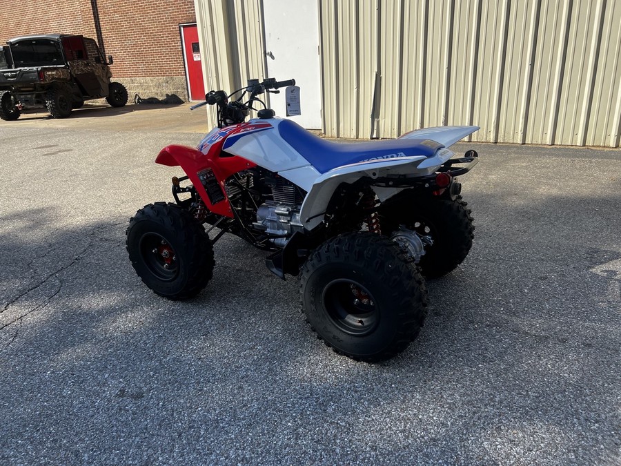 2026 Honda TRX 250X
