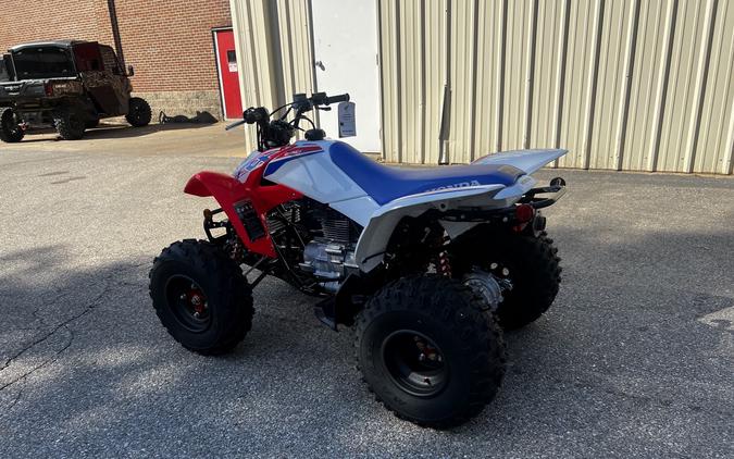 2026 Honda TRX 250X