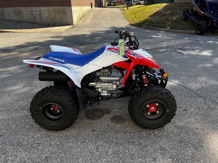 2026 Honda TRX 250X