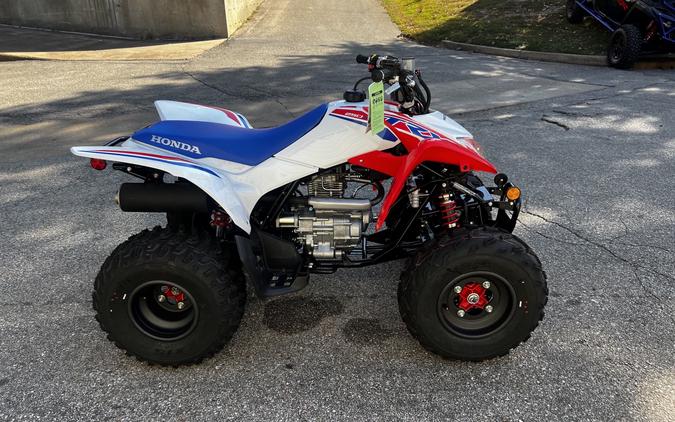 2026 Honda TRX 250X
