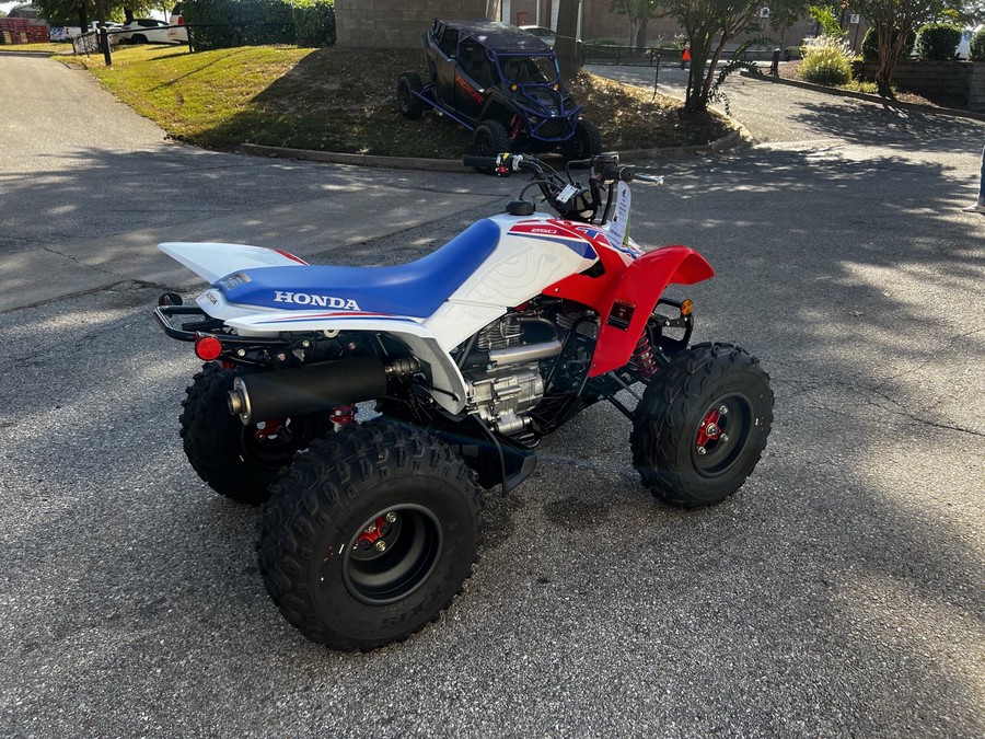 2026 Honda TRX 250X